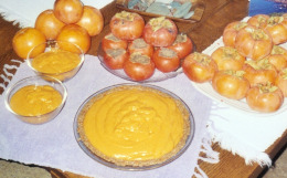 raw persimmon pie